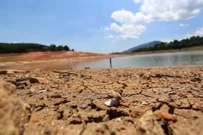 Gujarat can witness one of the hottest years in 2025: Scientists