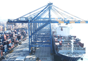 Adani Ports clocks all-time high PAT at Rs 11,061 crore in FY25, to pay Rs 7 dividend